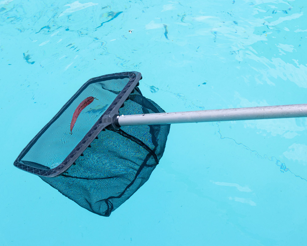 pool equipment supply company near Orange Park FL